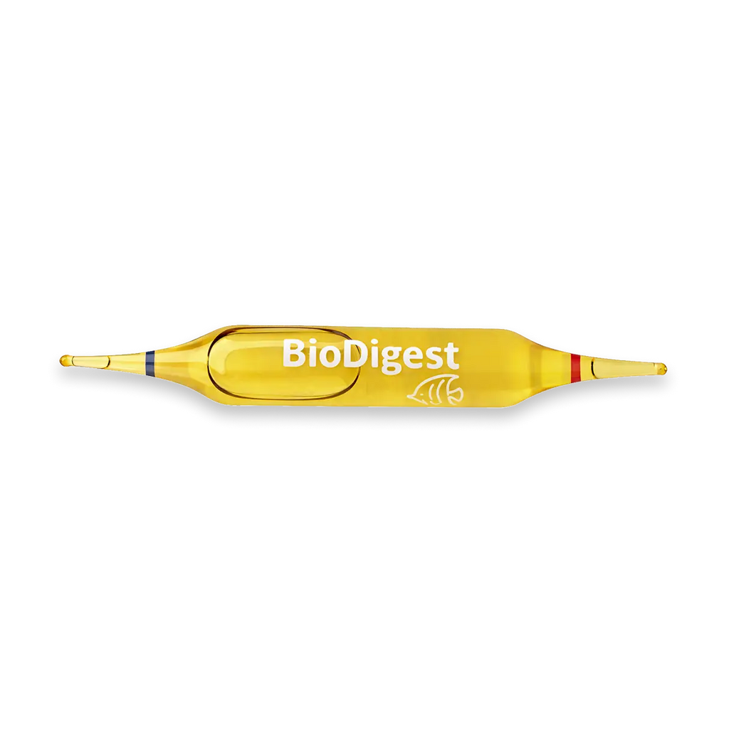 BACTERIE - BIODIGEST X6 AMPOULES