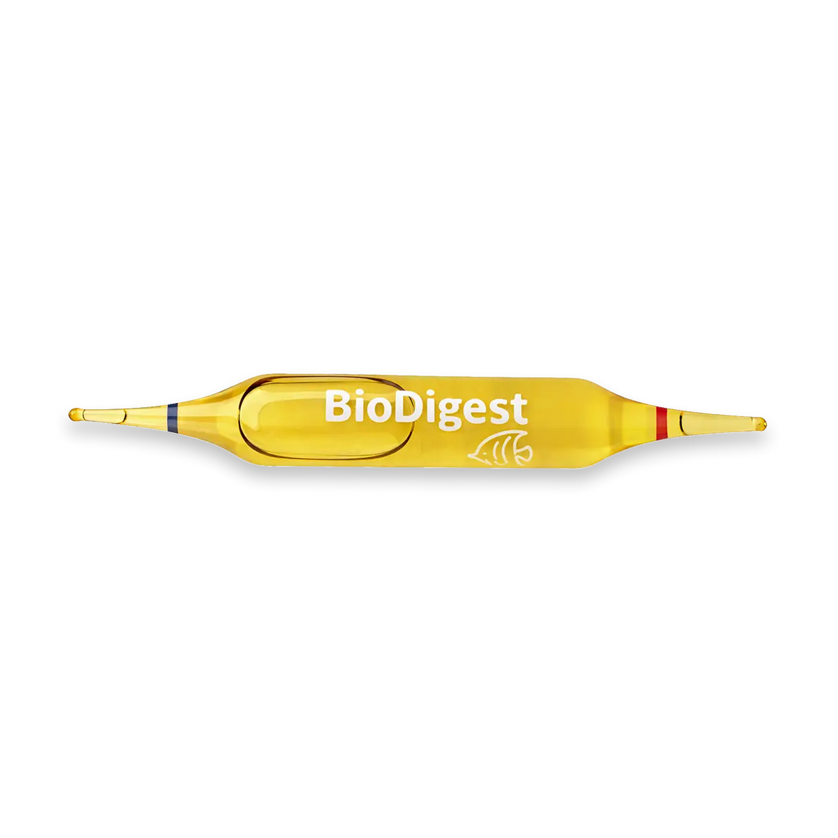 BACTERIE - BIODIGEST X12 AMPOULES