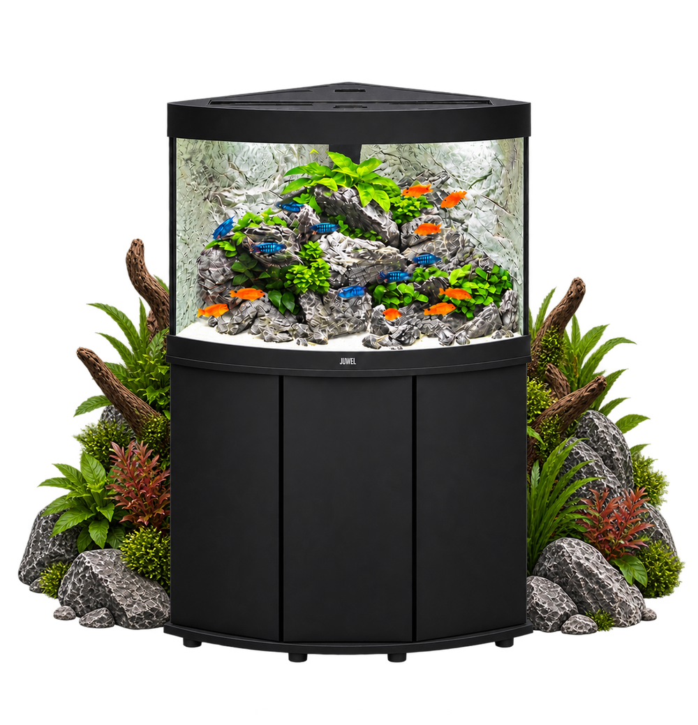 Aquarium