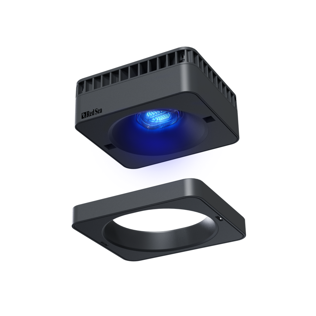 ÉCLAIRAGE - REEFLED G2 60 VISIÈRE CLIPSABLE